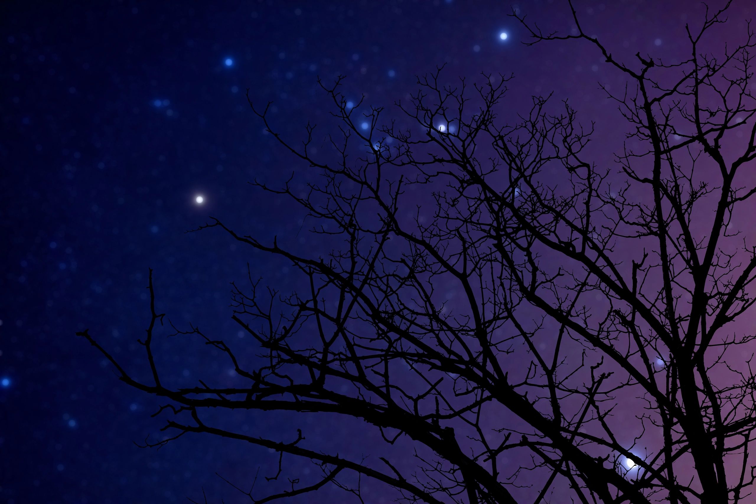 Night sky and Milky Way symbolizing cosmic cycles and timing